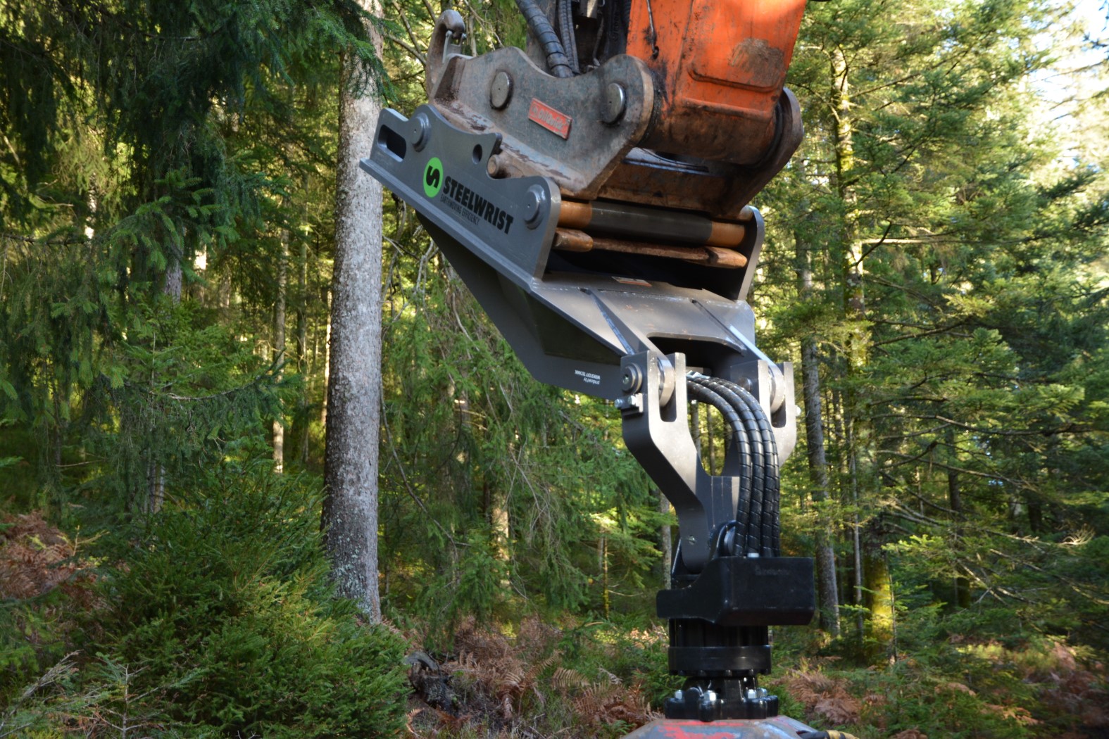 Holzzangen Aufnahme WirkstoffTechnik Bodman /Bodensee